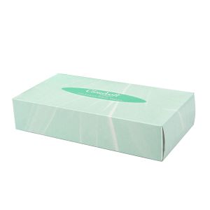 Cloudsoft 2ply Facial Tissues